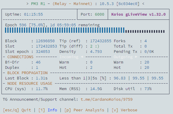 Web Hosting, Domain Names, WordPress & More - Earn crypto currency by running a node with us!